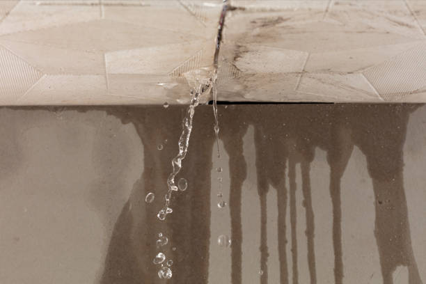 Professional Water Extraction technician working in Springfield, NE